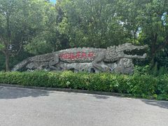 -中国扬子鳄村