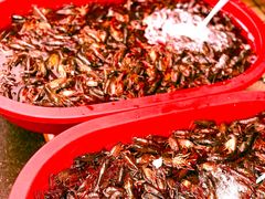 -江杨农产品批发市场