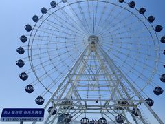 -秦皇岛乐岛海洋王国