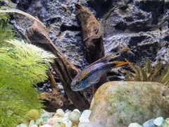 -上海海洋水族馆