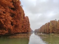 -上海海湾国家森林公园