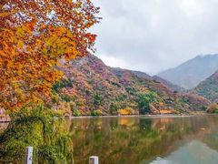 -秦岭终南山世界地质公园翠华山景区