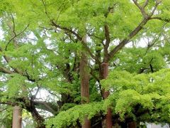 -浮来山风景区
