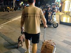 -瑞鹏宠物医院·微创内窥镜·骨外科·牙科(翠竹分院)