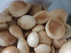-千户高端家政育儿嫂·保姆·儿童陪伴师