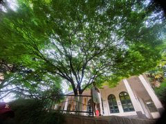 -西安市纺织公园