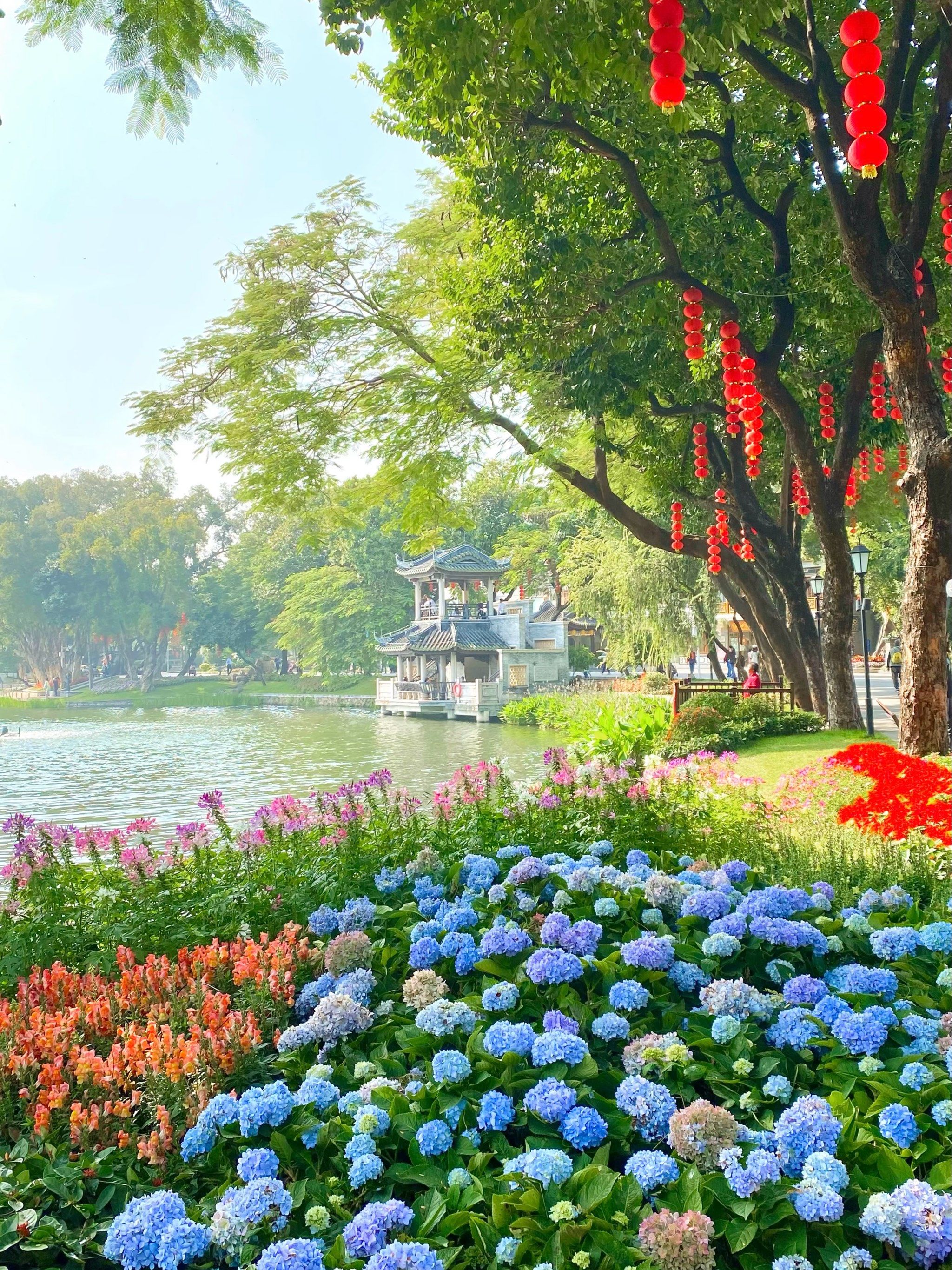 网友说的都是真的!广州荔湾湖的莫奈花园太美了