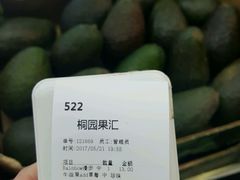 -桐园果汇(湖贝店)