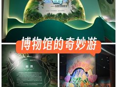 -天津自然博物馆