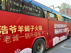 -浩爷羊蝎子火锅(望京店)