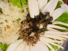 山珍鲜菌拼盘-双合福火锅(河北路店)