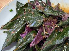 凉拌血皮菜-冯记豆花店(健翔桥店)