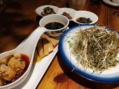 凉爽荞麦苗-兴农记