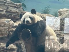 -石家庄市动物园