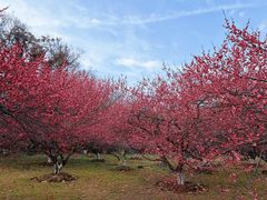 -采石矶景区