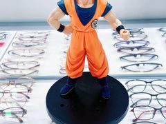 -潘多拉眼镜·蔡司依视路明月(潘家园店)