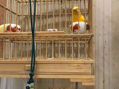 -Rabbit Cafe私房西餐甜点咖啡(栖霞路店)