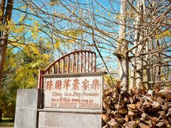 -腾冲国萍农家乐