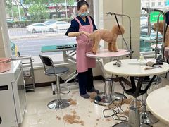 -北京观赏动物医院·24小时大型综合·猫专科·异宠专科