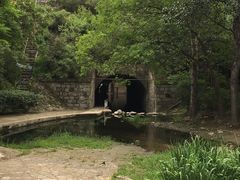 -白水寺森林公园