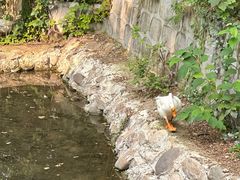 -丽泽山庄·生态怀柔菜·虹鳟鱼(红螺寺店)
