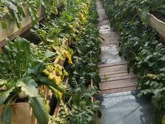 -青岛鑫江温德姆酒店