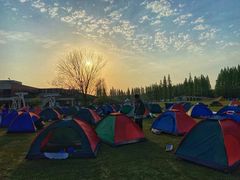 -黄海国家森林公园