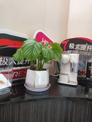 -Fundi张玉珊修身堂·indiba·BTL科技瘦身