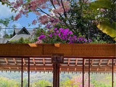-野象谷景区