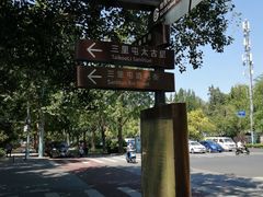 -三里屯东五街银杏大道