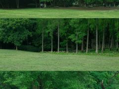 -大连植物园