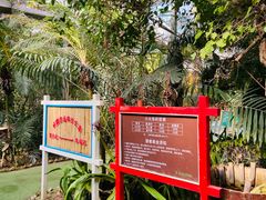 -呀路古热带植物园