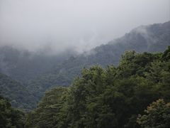 -广州市石门国家森林公园