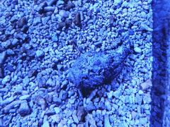 -波塞冬旅游度假区