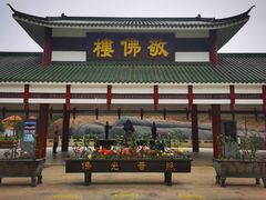 -三水森林公园