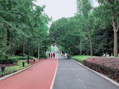 -北外滩滨江绿地