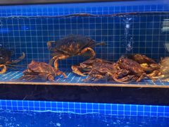 -锦色·烧鹅·海鲜(臻享店)