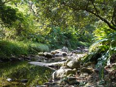 -福清灵石山国家森林公园