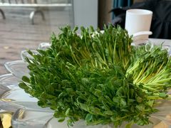 活体豆苗-煲宫猪肚鸡(晶品店)