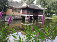 -范蠡湖公园