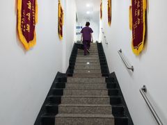 -美联众合动物医院(·中兽医·疑难杂症·严家桥分院)