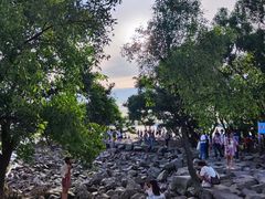 -宝安西湾红树林湿地公园