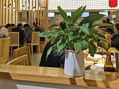 -龙抄手食府(浣花北路店)