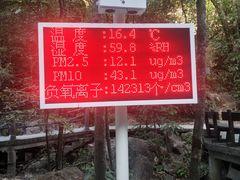 -九龙江国家森林公园