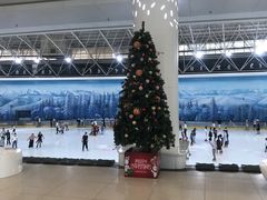 -世界之窗阿尔卑斯冰雪世界