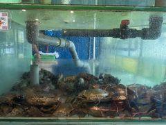 -蟹皇海鲜餐厅