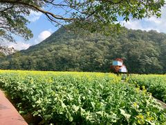 -广州市石门国家森林公园