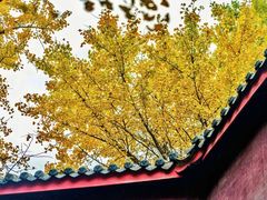 -金堂县云顶石城风景区