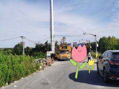 -南汇新城海滩