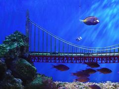 -太平洋海底世界